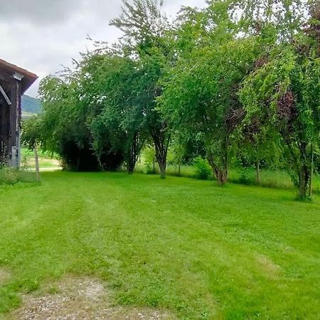 Montels  Superbe Demeure Au Coeur Des Pyrenees Ariegeoisesヴィラ エクステリア 写真