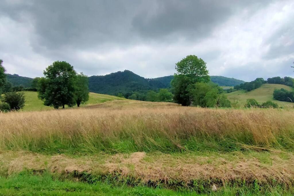 Montels  Superbe Demeure Au Coeur Des Pyrenees Ariegeoisesヴィラ エクステリア 写真